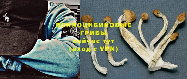 гидра Алзамай