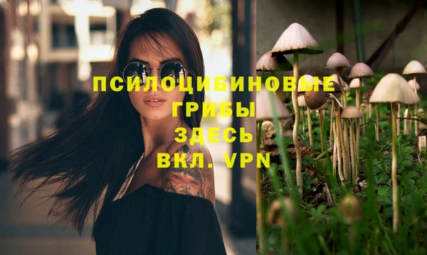 Альфа ПВП Алексеевка