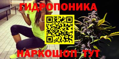 стафф Ставрополь