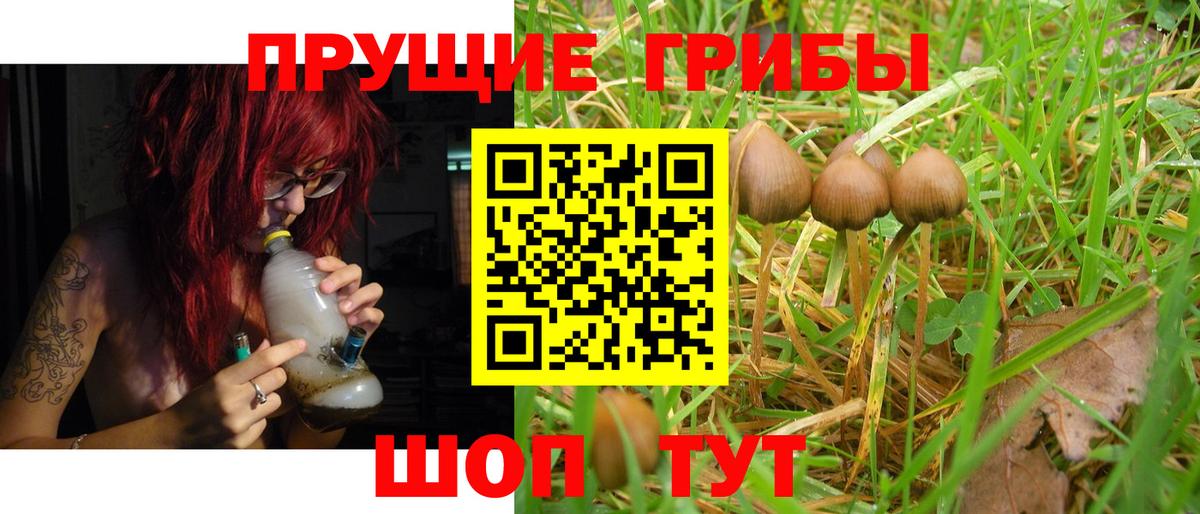 Ржев  Галлюциногенные грибы MAGIC MUSHROOMS  Вход с VPN 