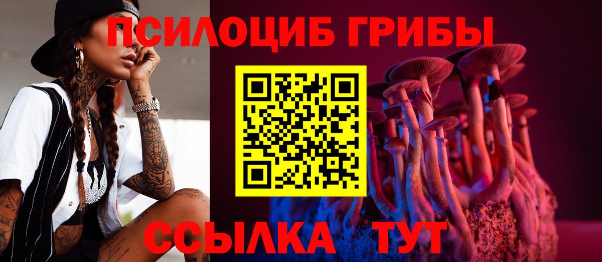 Галлюциногенные грибы MAGIC MUSHROOMS  купить наркотик  Ржев  Вход с VPN 