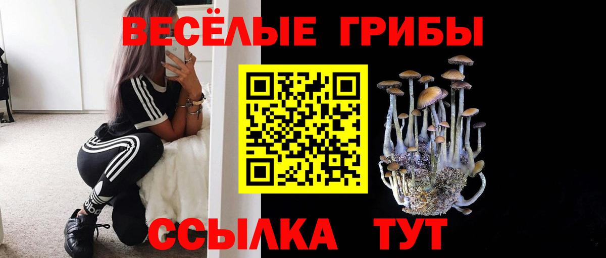 Псилоцибиновые грибы Magic Shrooms Ржев